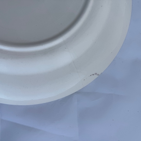 Statue of Liberty Views of America Collectible Plate - Picture 2 of 5